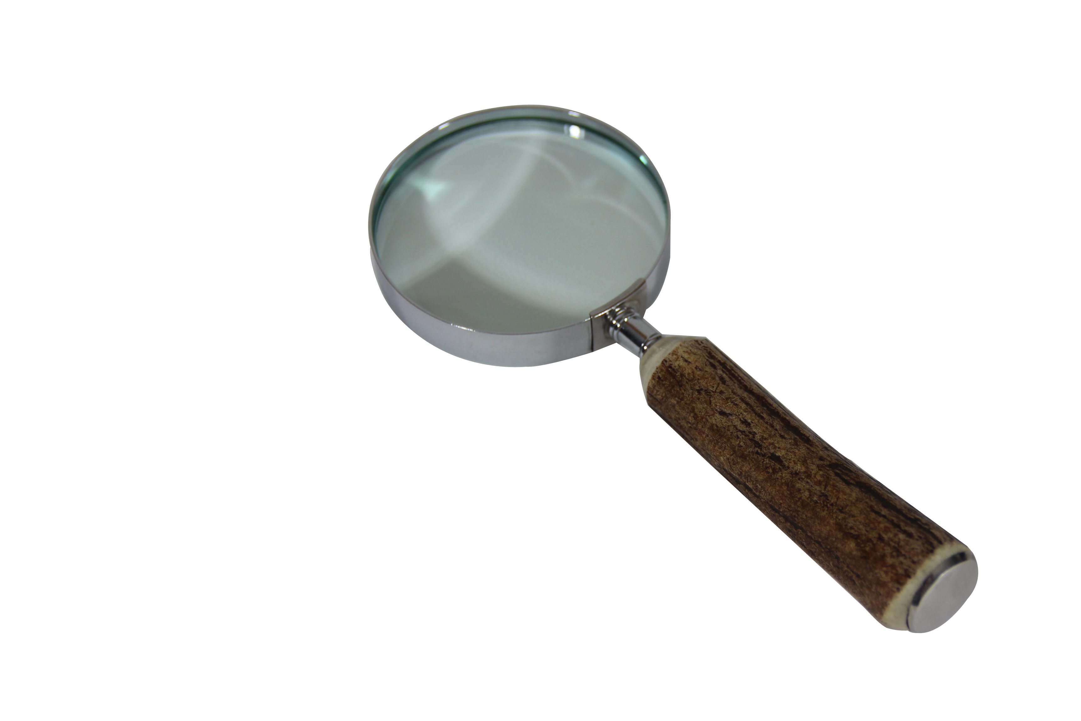 Magnifying Glass with Horn Handle - Found