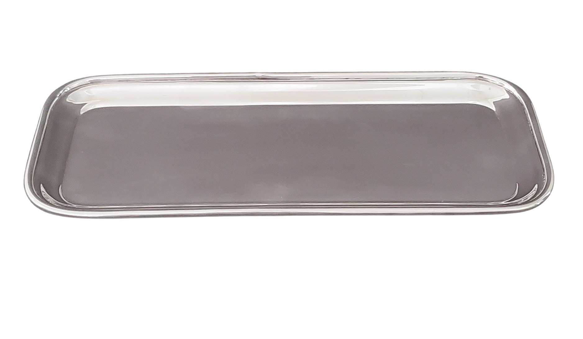 Stainless Steel Flat Instrument Tray
