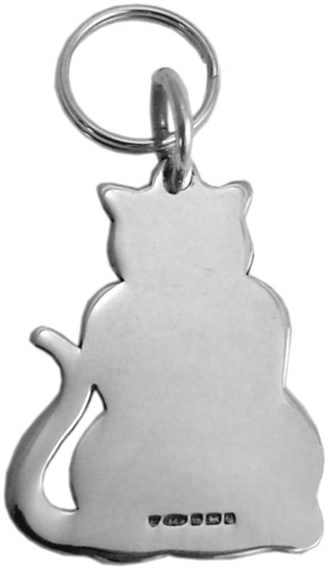 SILVER COLLAR TAG